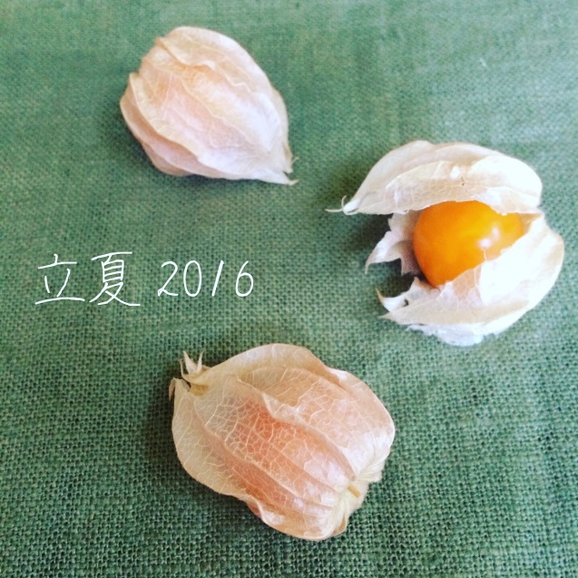 b0083902_14160005.jpeg