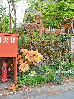 c0336902_1521314.jpg