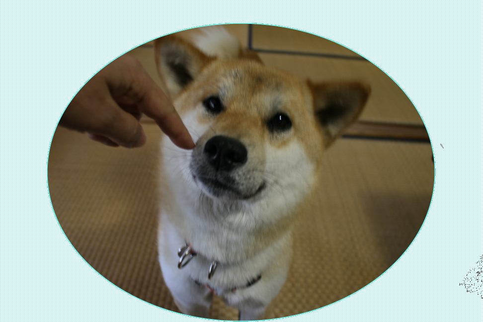 ひよりちゃん 新生活スタート!_f0242002_20591870.jpg