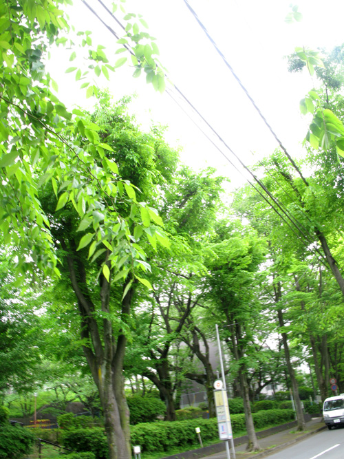c0011204_23295288.jpg