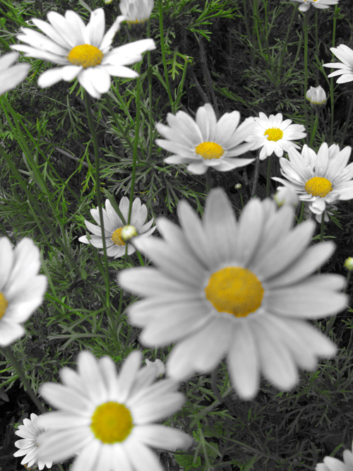 c0011204_23335434.jpg