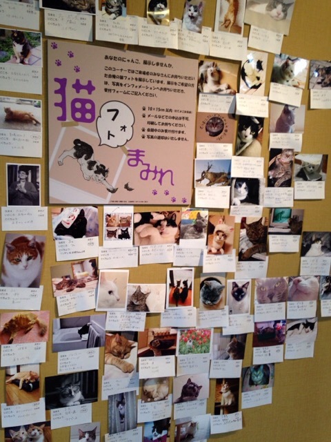 猫まみれ展_b0289206_21102974.jpg