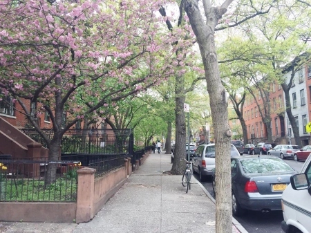 2016 NEWYORK後記 7_f0180307_20230145.jpg