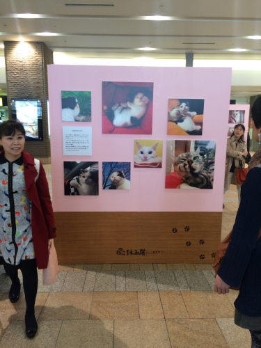GW2日目_a0167308_07064628.jpg