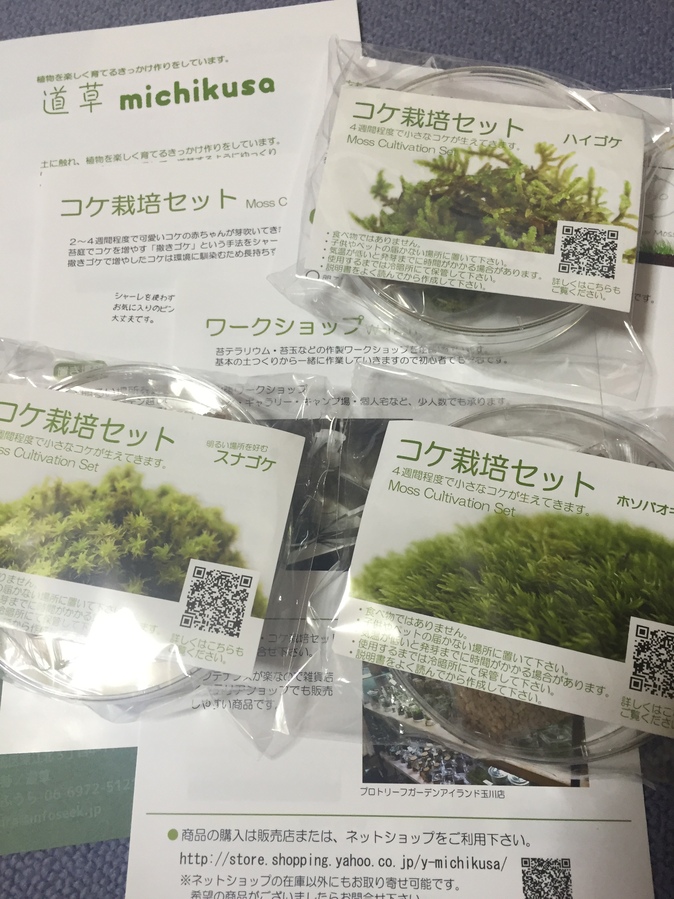 苔栽培セット Tennessee Waltz For Judy 苔栽培セット Tennessee Waltz For Judy