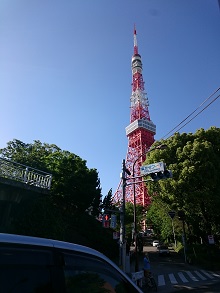 ここから本番?GW後半戦ラスト3Days!_d0091909_1710284.jpg