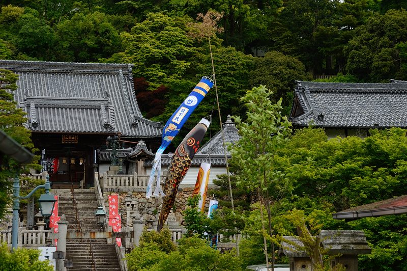 GW特別公開「上書院から眺める名勝庭園」@楊谷寺 其の一_f0032011_18312156.jpg