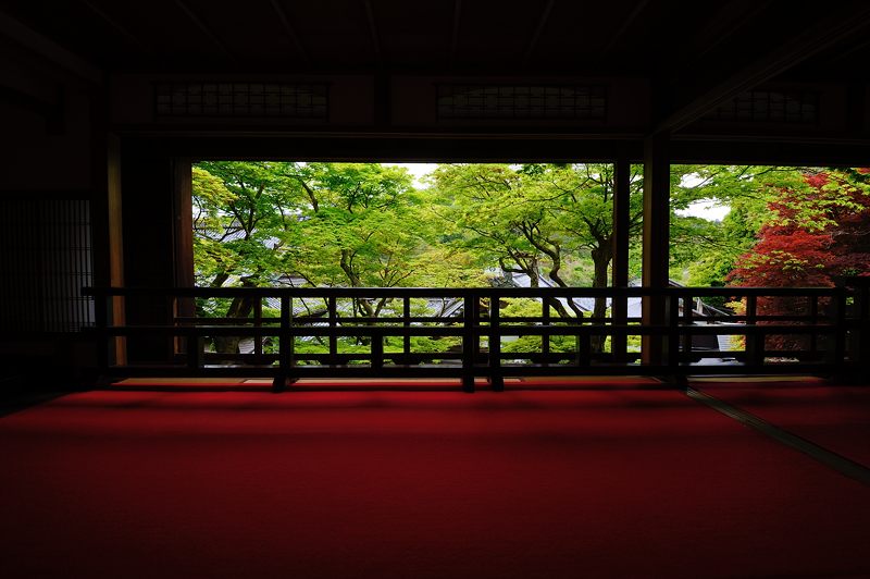 GW特別公開「上書院から眺める名勝庭園」＠楊谷寺　其の一_f0032011_18323276.jpg