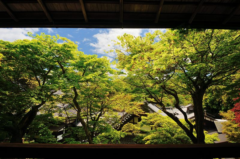 GW特別公開「上書院から眺める名勝庭園」＠楊谷寺　其の一_f0032011_18405024.jpg