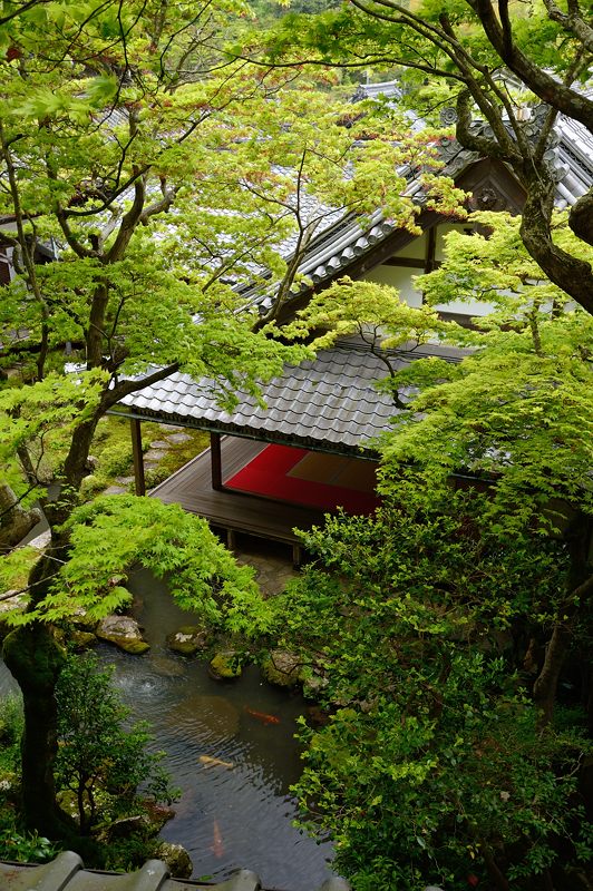 GW特別公開「上書院から眺める名勝庭園」@楊谷寺 其の一_f0032011_1841064.jpg