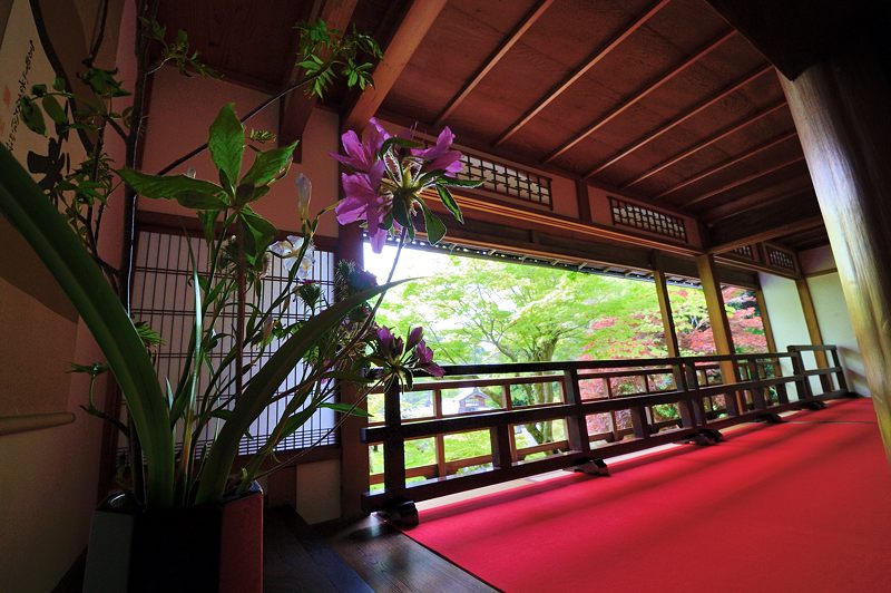 GW特別公開「上書院から眺める名勝庭園」@楊谷寺 其の一_f0032011_18425123.jpg