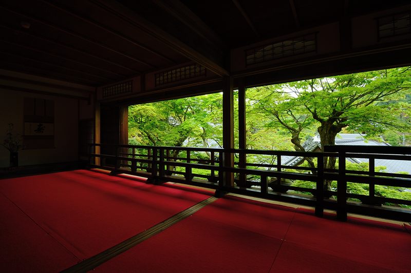 GW特別公開「上書院から眺める名勝庭園」＠楊谷寺　其の一_f0032011_18435290.jpg