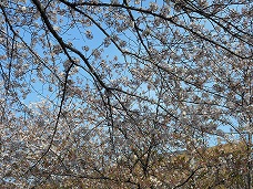 d0019913_1714437.jpg