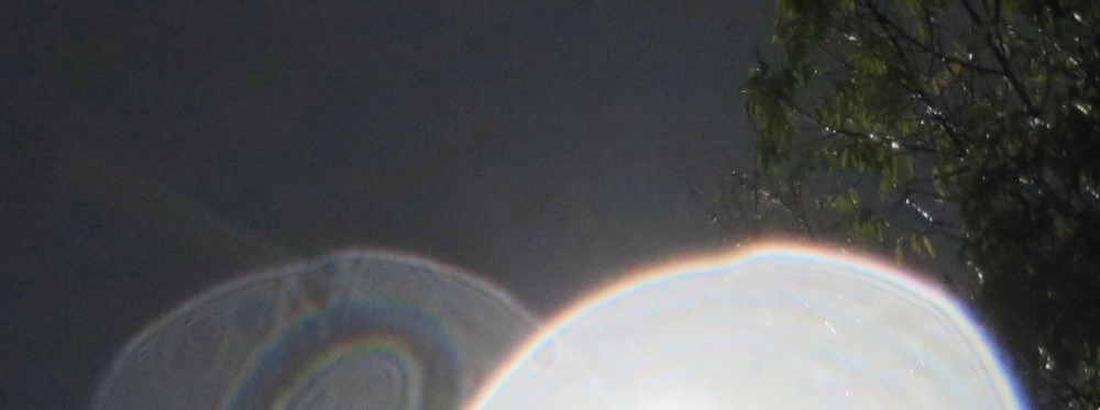 c0331825_20491427.jpg
