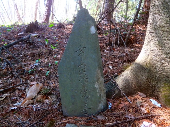 常陸坊海尊 : 風天ブログ