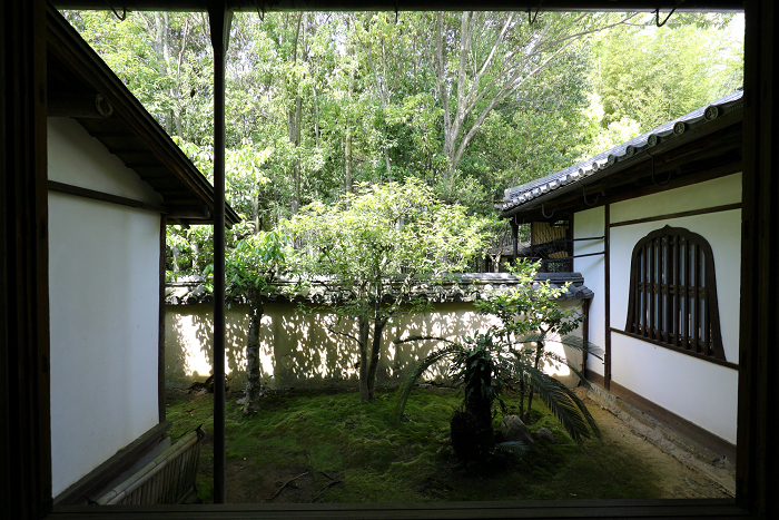 春の京都禅寺一斉拝観 －妙心寺・大雄院－_b0169330_22384713.jpg