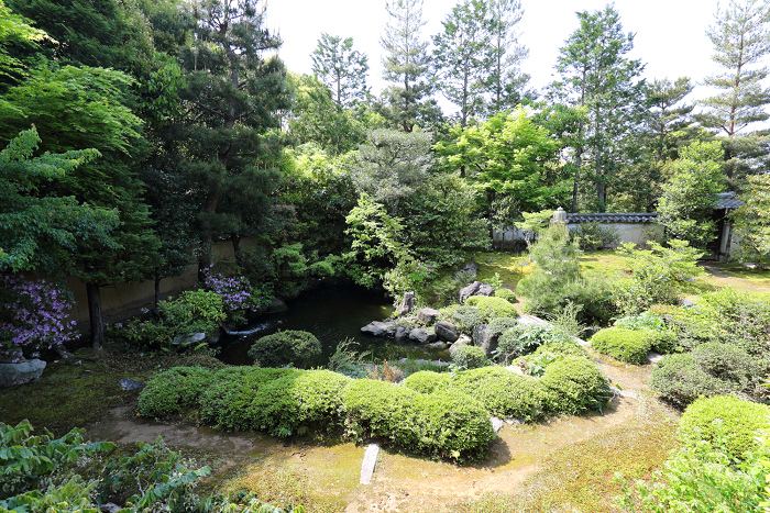 春の京都禅寺一斉拝観 －妙心寺・大雄院－_b0169330_22514756.jpg