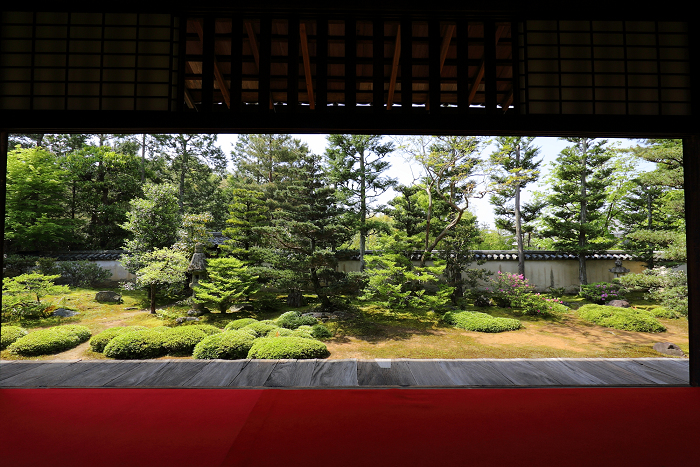 春の京都禅寺一斉拝観 －妙心寺・大雄院－_b0169330_22522314.jpg