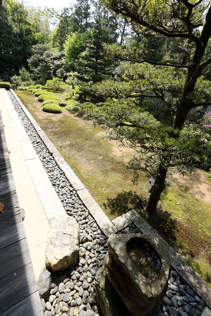 春の京都禅寺一斉拝観 －妙心寺・大雄院－_b0169330_2395559.jpg