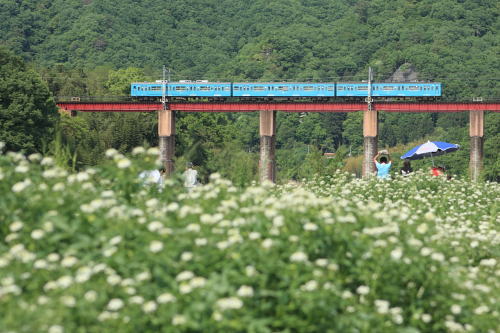 【鉄道旅行記】 ぶらり秩父鉄道_a0338635_21245519.jpg