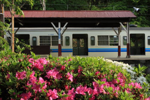 【鉄道旅行記】 ぶらり秩父鉄道_a0338635_21253388.jpg