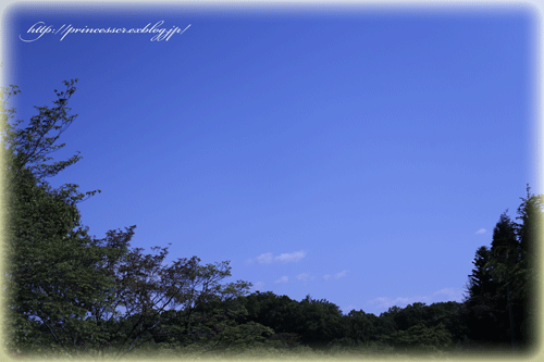 a0245136_10043551.gif