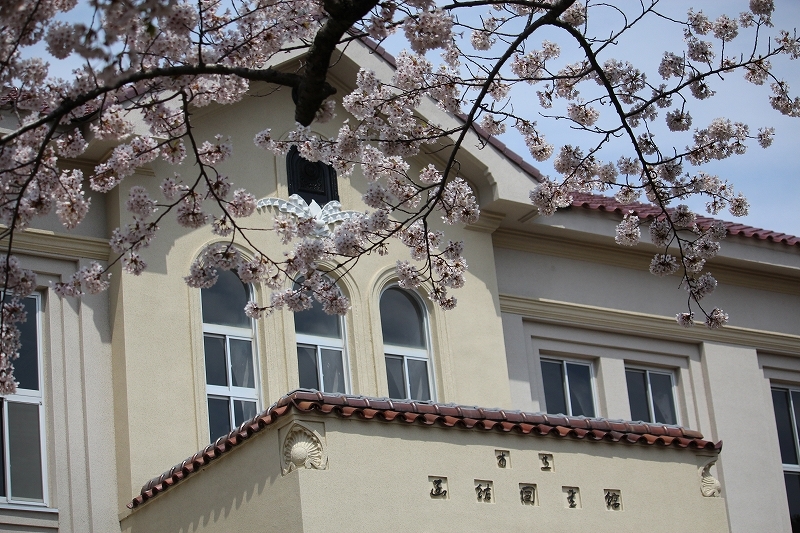 ２０１６　5月1日　函館公園の花見 ４_b0250154_19485327.jpg