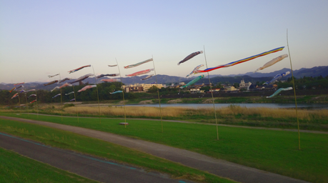 c0160455_1520532.png