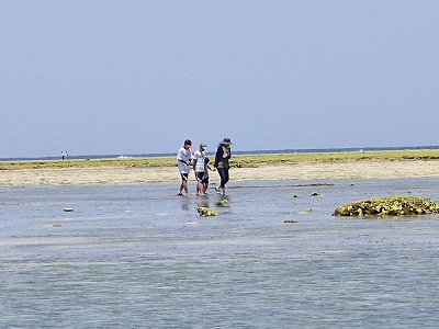 c0180460_18382799.jpg
