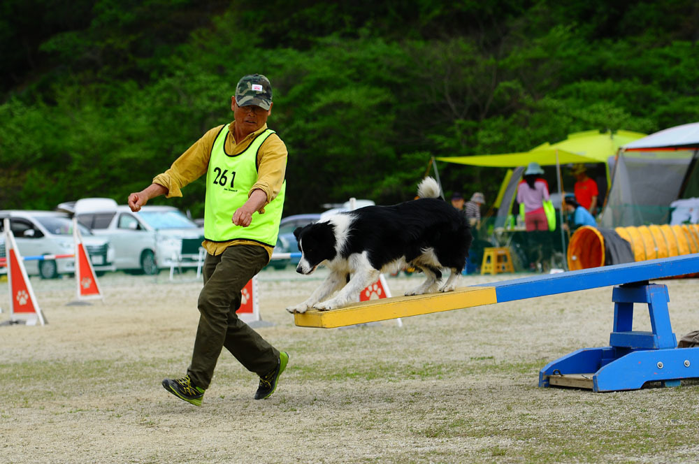 JKC福岡アペックスクラブアジリティー競技会 2016/4/16 #18_d0230464_14403175.jpg