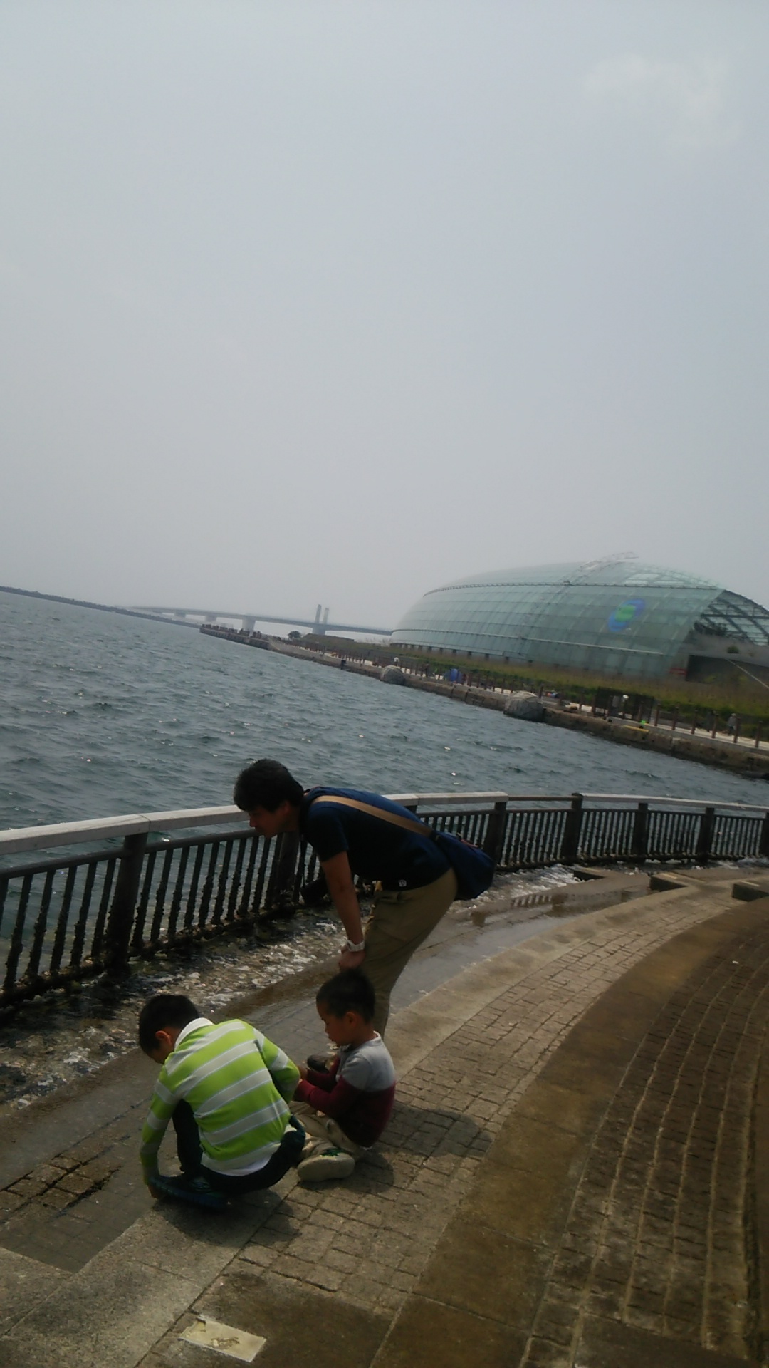 c0149167_914352.jpg
