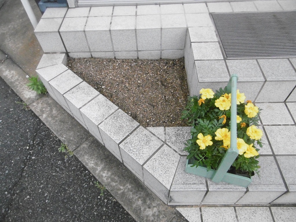 小さな花壇_f0205367_18491396.jpg