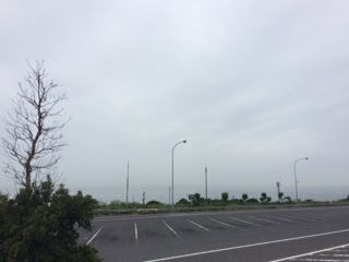 d0165772_20554612.jpg