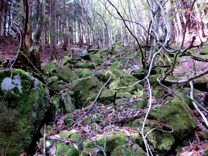 No441 岡山県・駒の尾山、後山は断念ちくさスキー場へ_b0185573_1822670.jpg