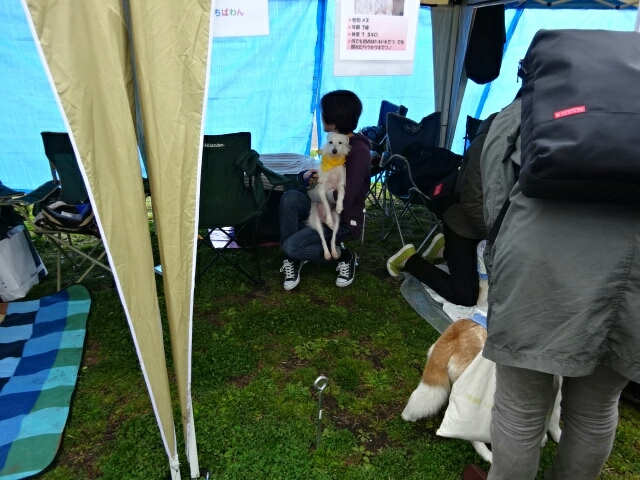 b0177174_17295538.jpg