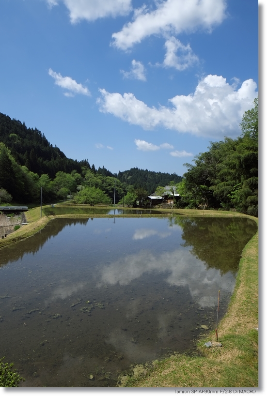 五月晴れ_c0054876_16143288.jpg