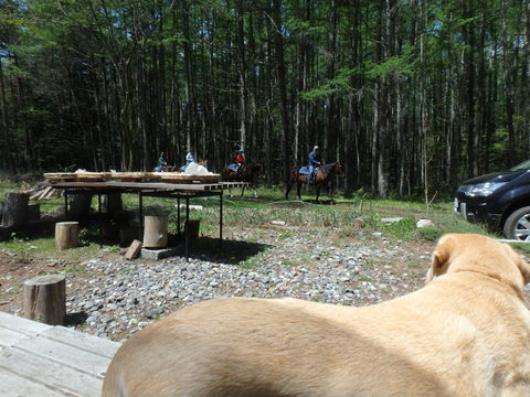 f0052277_1252337.jpg