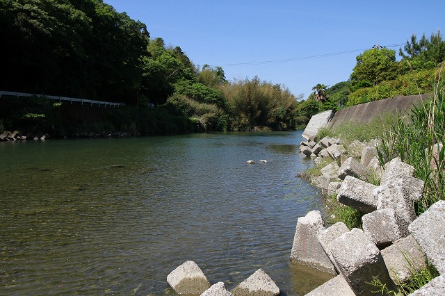 園瀬川_d0156387_2125858.jpg