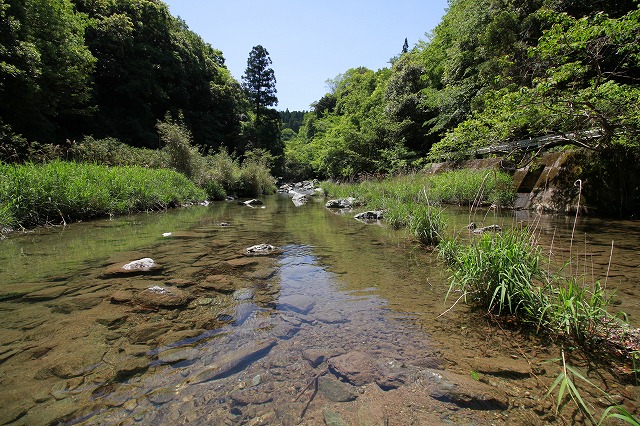 園瀬川_d0156387_2144285.jpg