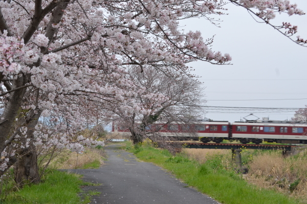 電車と。。_e0246788_14251520.jpg