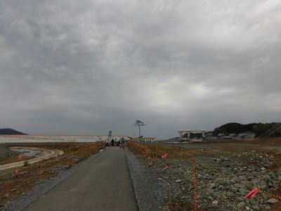 e0239190_748513.jpg