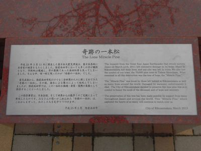 e0239190_749814.jpg