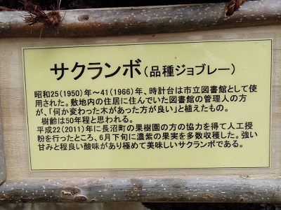 artigana-gのSAPPORO・23_b0055196_17395624.jpg