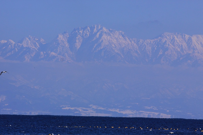 b0138798_15552066.jpg