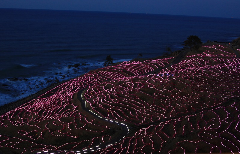 b0138798_1652417.jpg