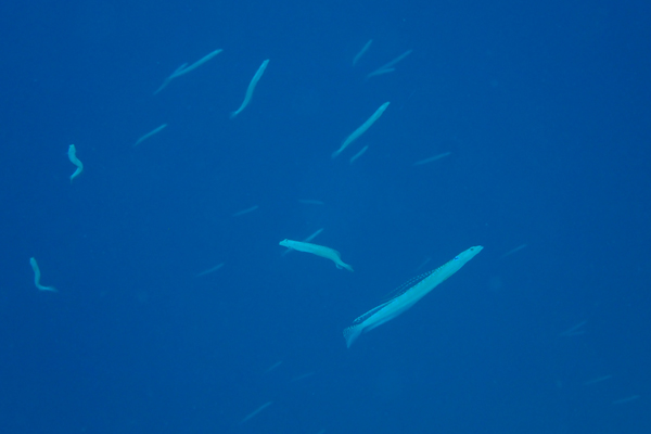 f0121701_20274697.jpg