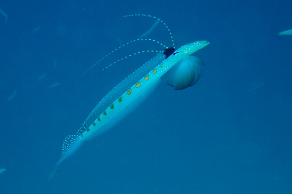 f0121701_2028381.jpg