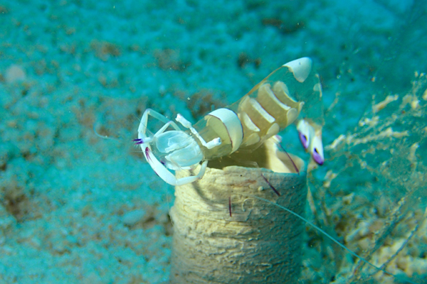 f0121701_2032153.jpg