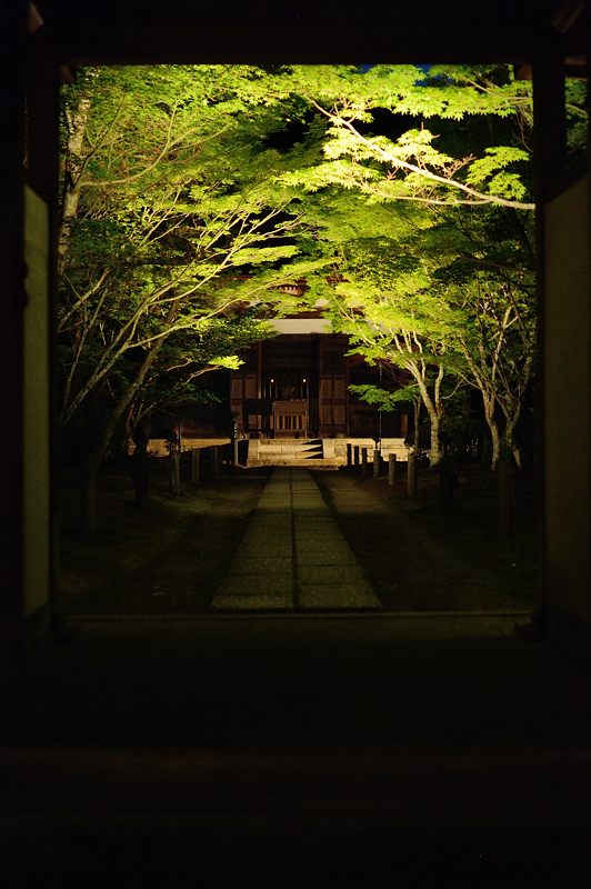 一休寺ライトアップ akari no wa 2016_f0032011_183063.jpg