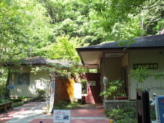 f0177529_15554610.jpg